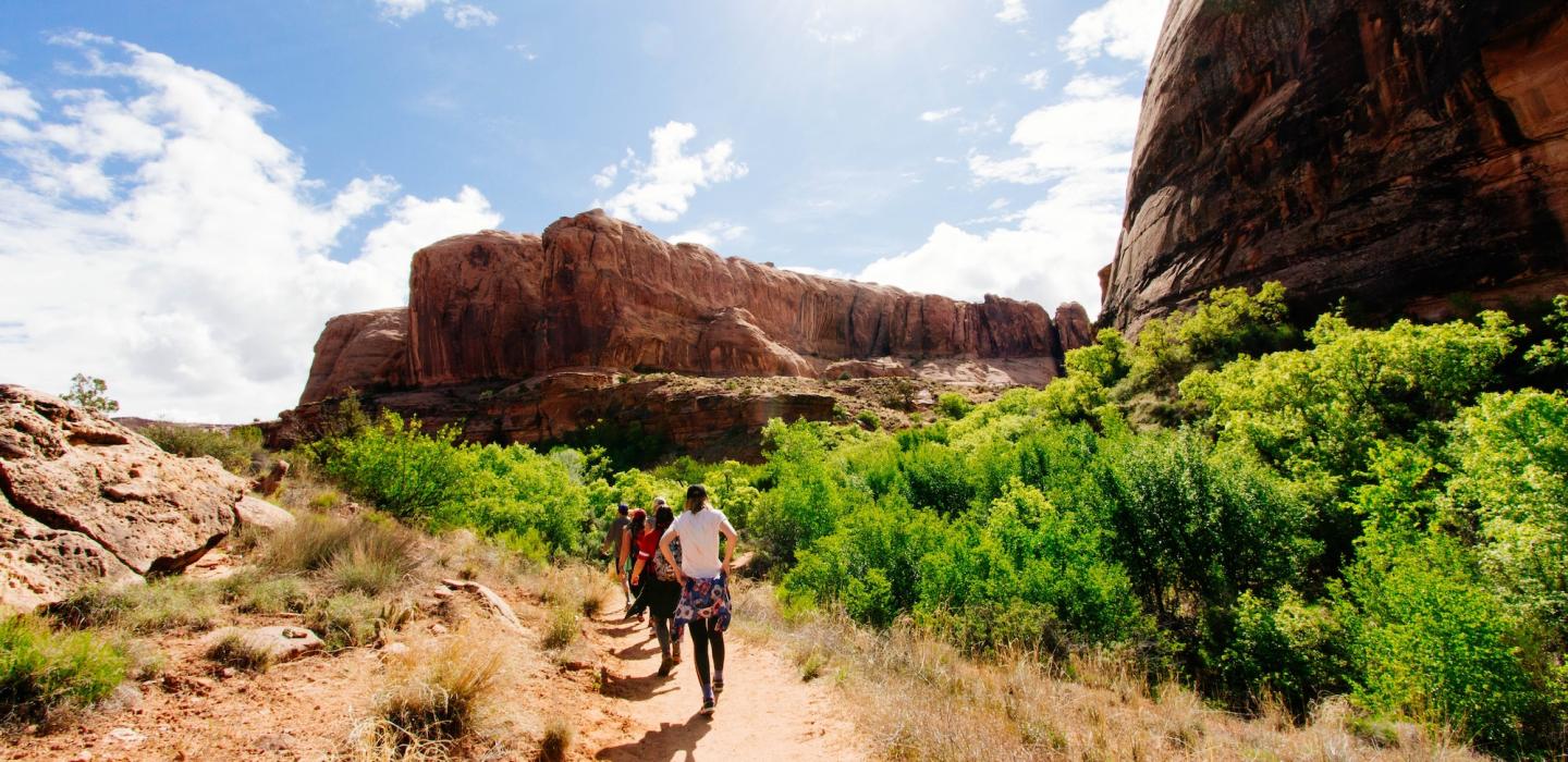 Hiking trail in Arizona