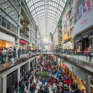 large group of people are seen shopping on black friday