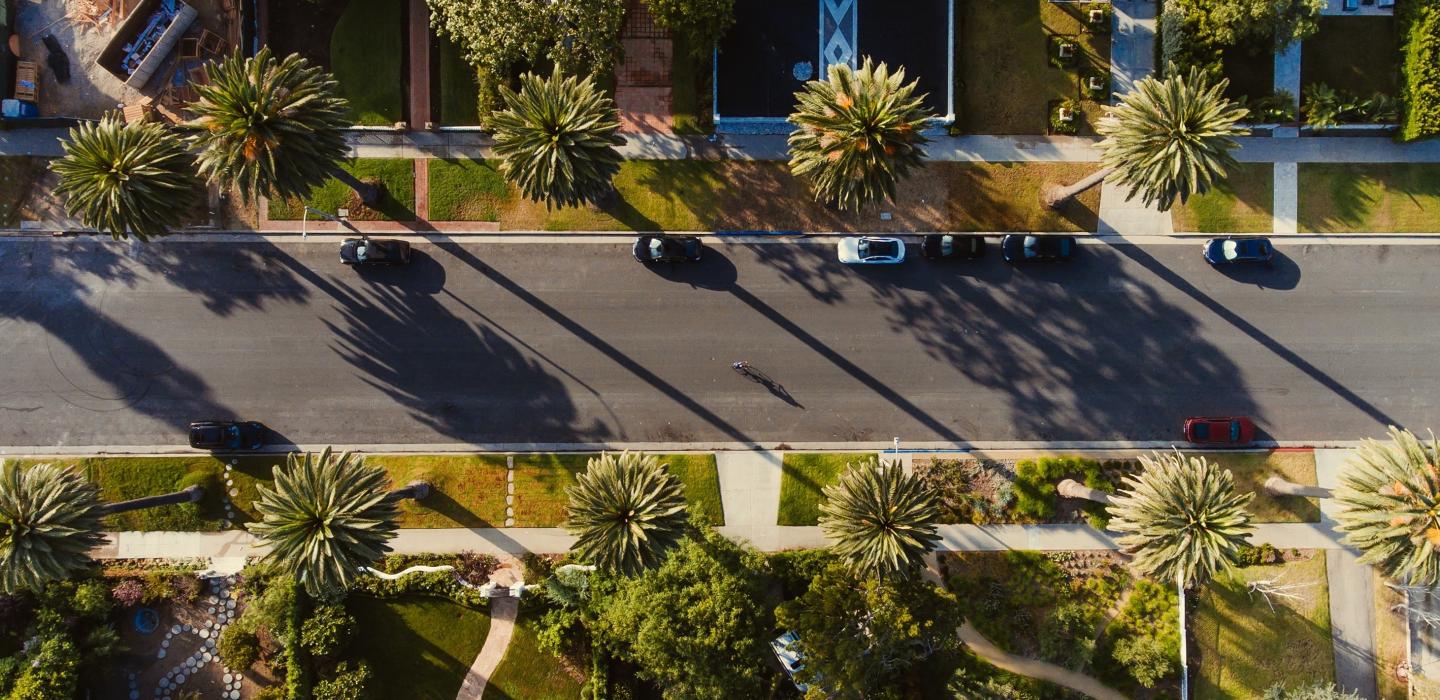 Palm trees and cars on sunny open road in California