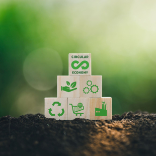 Sustainability focused icons representing a circular economy.