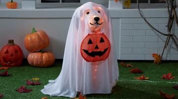 Halloween decoration