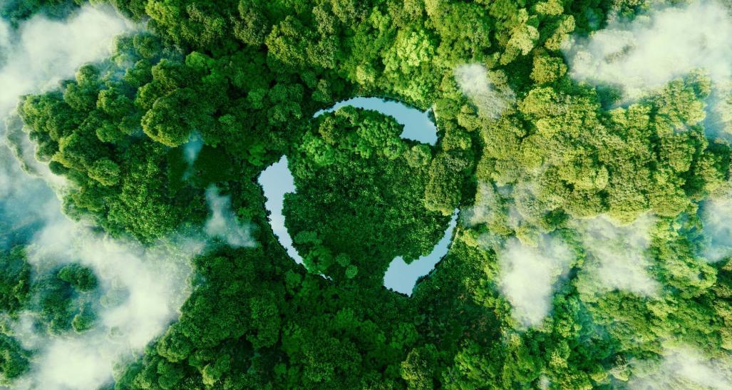 Aerial image of forest representing ESG initiatives