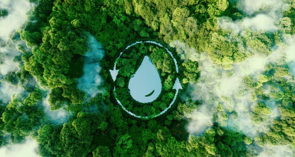 Aerial image of forest representing ESG initiatives