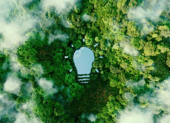 Aerial image of forest representing ESG initiatives