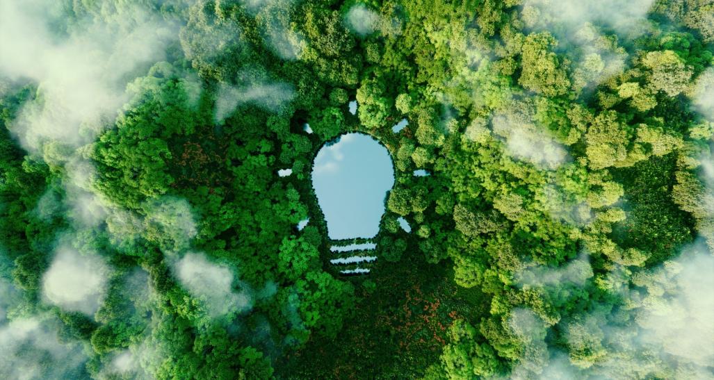 Aerial image of forest representing ESG initiatives