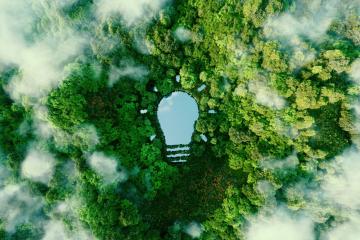 Aerial image of forest representing ESG initiatives