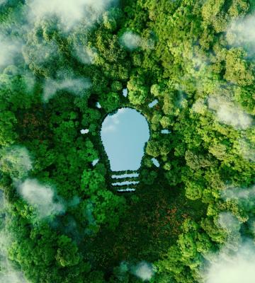Aerial image of forest representing ESG initiatives