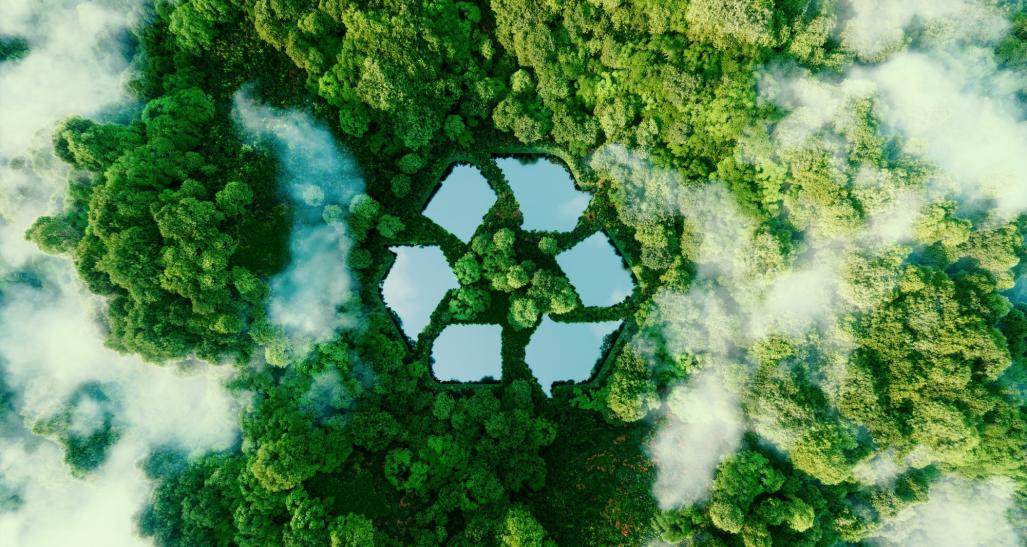 Aerial image of forest representing ESG initiatives