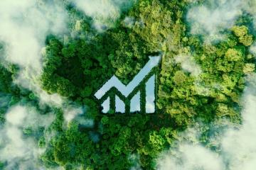 Aerial image of forest representing ESG initiatives