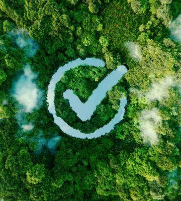 Aerial image of forest representing ESG initiatives