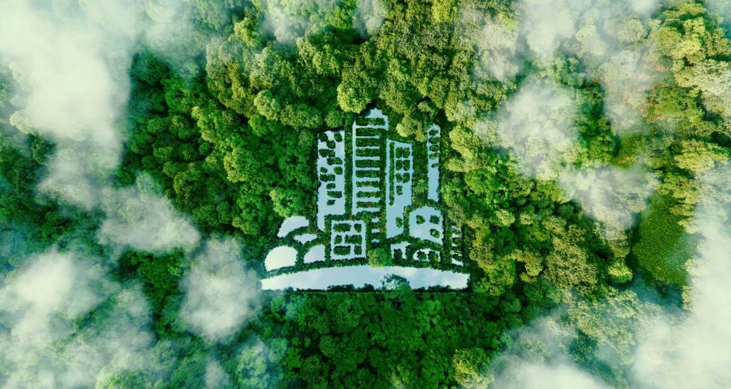 Aerial image of forest representing ESG initiatives