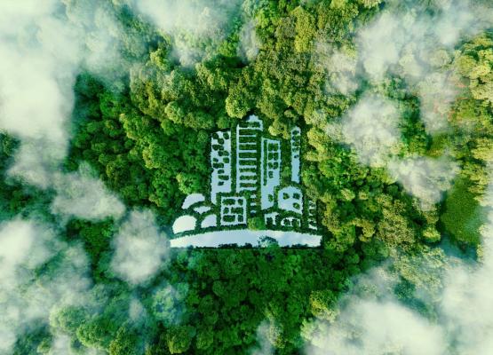 Aerial image of forest representing ESG initiatives