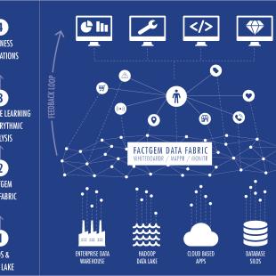 FactGem data fabric