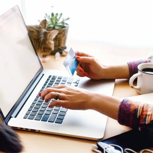 Cybersecurity for ecommerce