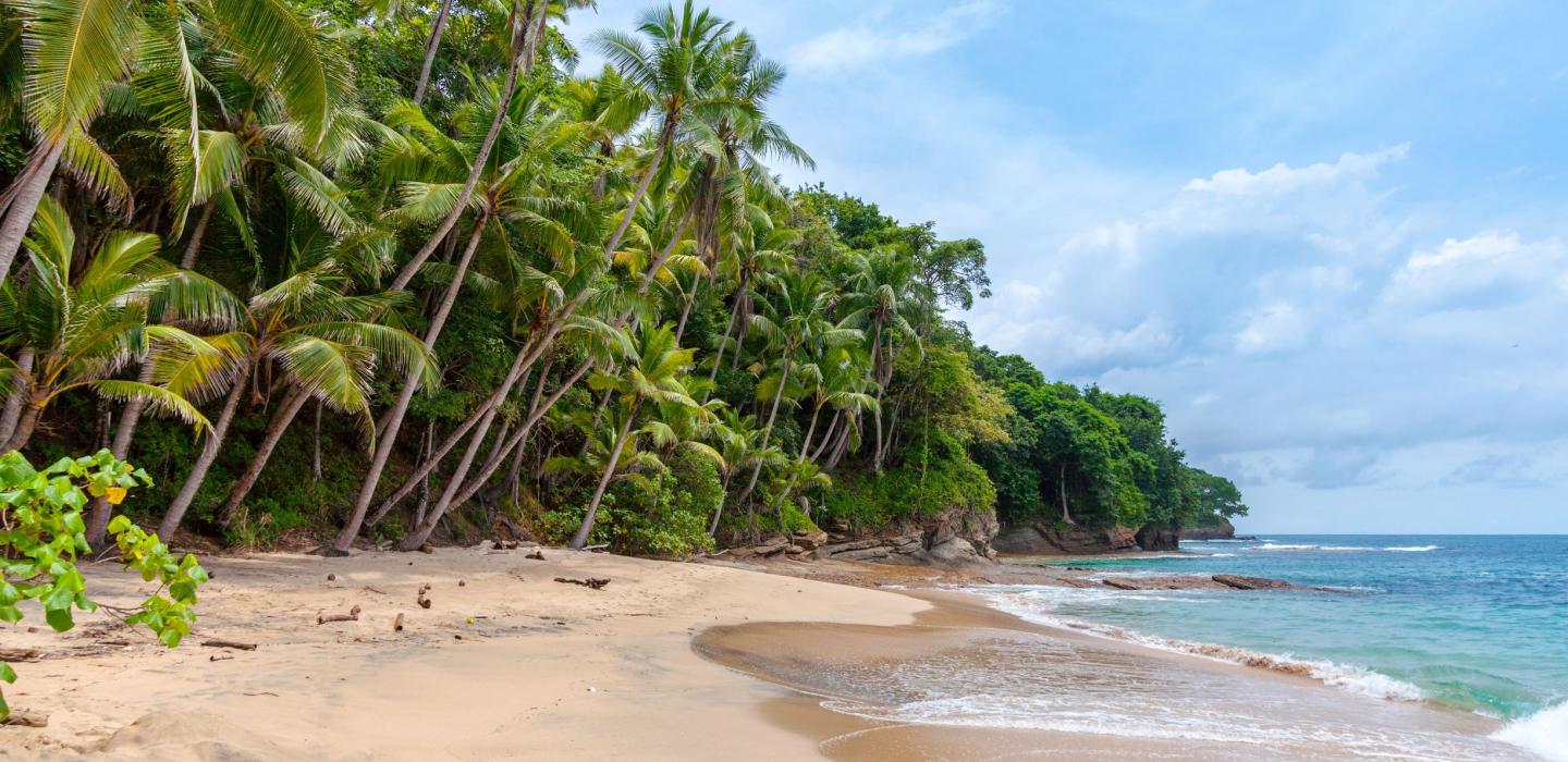 On the beach shore in Hawaii.