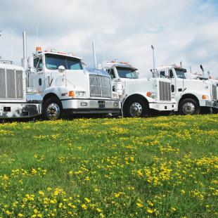 Trucker