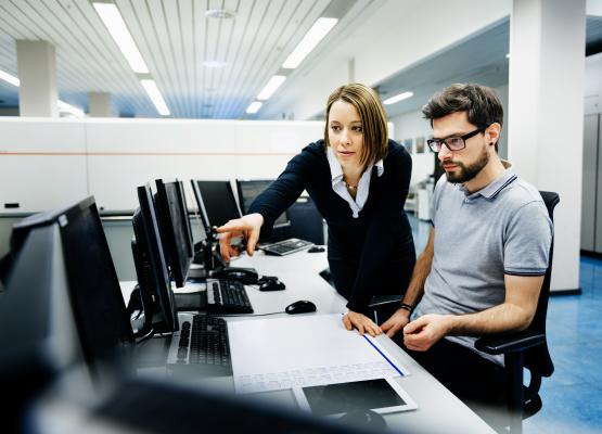 Professional woman pointing at computer for colleague
