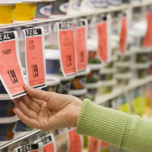 Pricing elasticity in retail