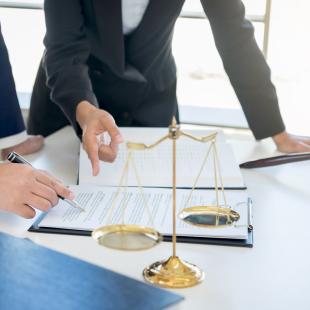 Law professionals working