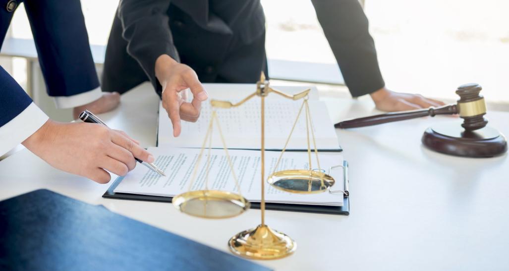 Law professionals working