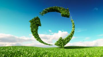 Sustainability