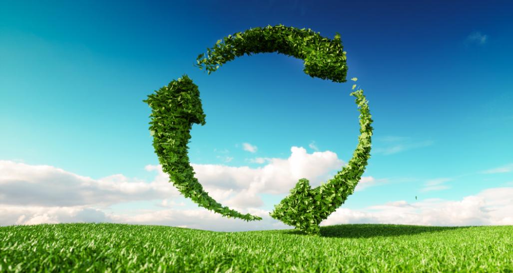 Sustainability