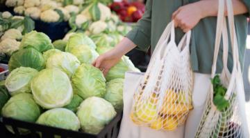 Sustainable retailer