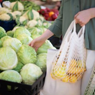 Sustainable retailer