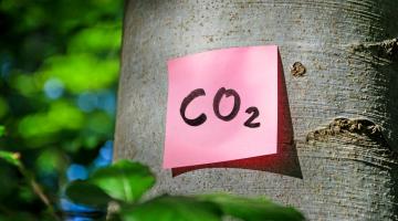 Carbon footprint