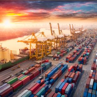 Supply Chain