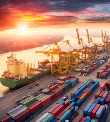Supply Chain