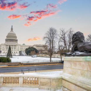 Congress in winter