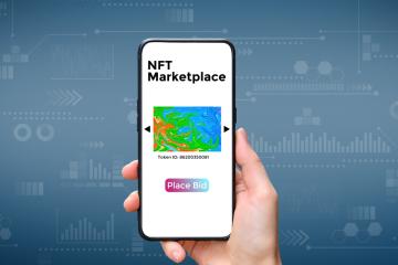 NFTs
