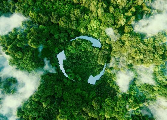 Aerial image of forest representing ESG initiatives