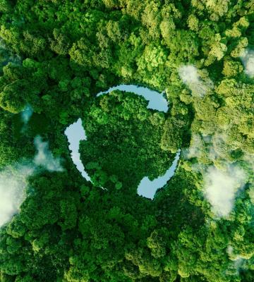 Aerial image of forest representing ESG initiatives