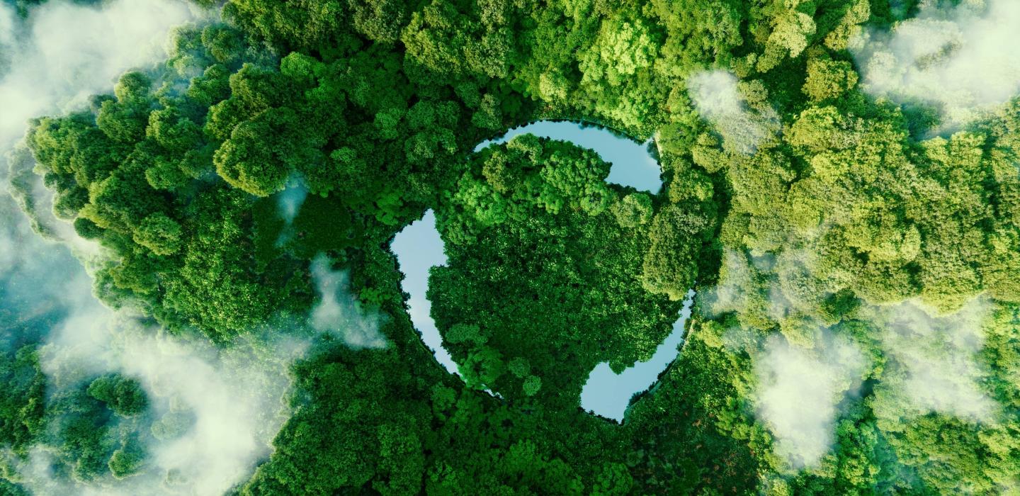 Aerial image of forest representing ESG initiatives