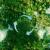 Aerial image of forest representing ESG initiatives