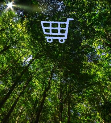 Sustainability