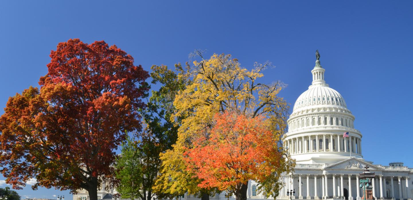 DC in the Fall