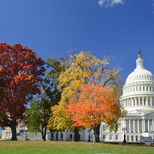 DC