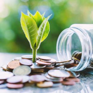 A plant sprouting from a pile of coins.