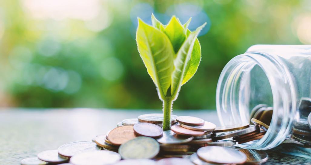 A plant sprouting from a pile of coins.