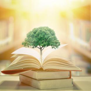 A plant sprouting from a pile of books.