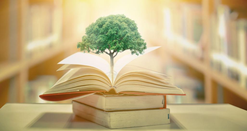 A plant sprouting from a pile of books.