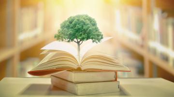 A plant sprouting from a pile of books.