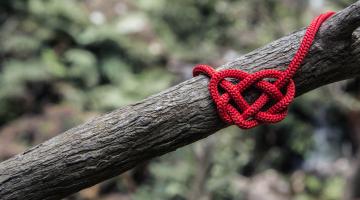 Heart made of wool on a tree