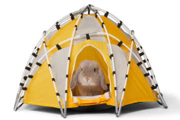 REI tiny tent
